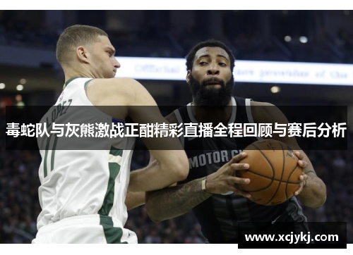 毒蛇队与灰熊激战正酣精彩直播全程回顾与赛后分析